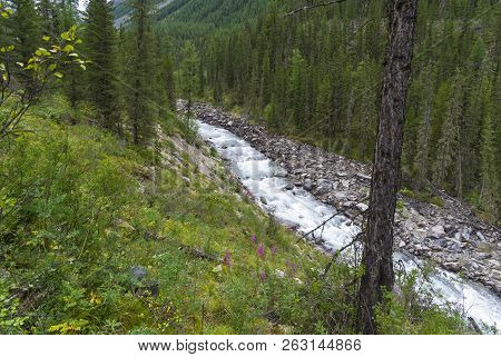 Altai Mountains. The Shawla River Above The Estuary Of The Yeshtykol River. August. Siberia, Russia.