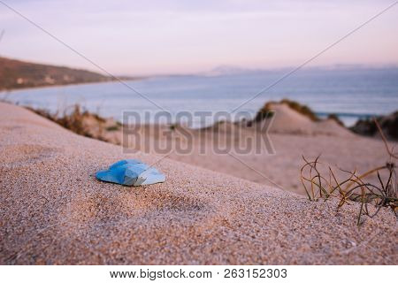 Blue Wooden Turtle On The Beach. 