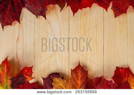 A Collection Of Red And Orange Autmumn Leaves On A Wooden Background With Copy Space