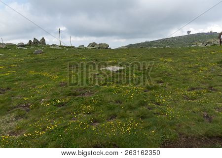 Landscape Of Vitosha Mountain Near Cherni Vrah Peak, Sofia City Region, Bulgaria