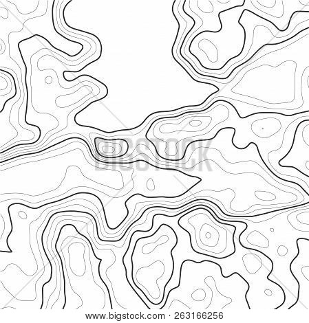 Topographic Map Contour Background. Topo Map With Elevation. Contour Map Vector.