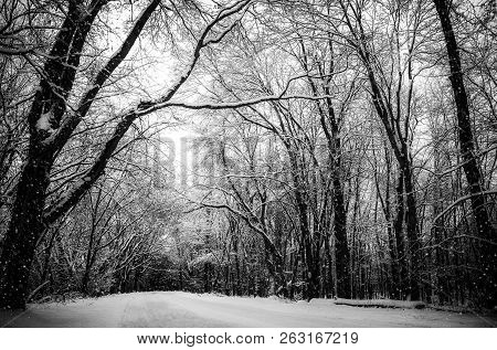 Snowy Winter Road. Black And White Seasonal Background With Copy Space.