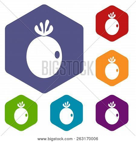 Feijoa Fruit Icons Set Hexagon Isolated Illustration