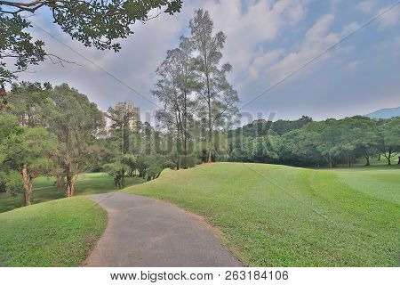 Walk Way And Green Field At Golf Club