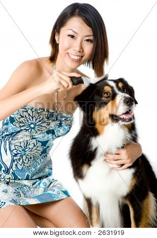 Груминг собак