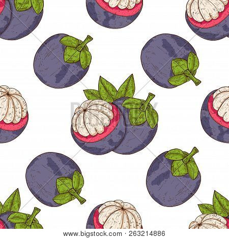 Mangosteen. Tropical Fruit. Background, Wallpaper, Texture, Seamless. Sketch. Color Illustration On 