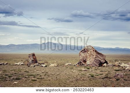 Tarkhatinsky Megalithic Complex. Steppe And Blue Mountains On The Horizon. Altai Russia.