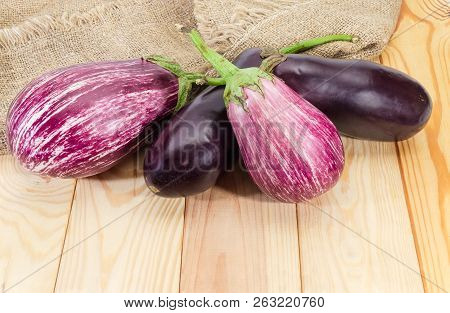 Raw Purple Conventional Eggplants And Purple With White Striped Eggplants Known As Graffiti Eggplant