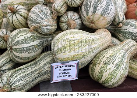 Several Cushaw Squash On Display At Local Farmers Market,
Ready For Shoppers To Buy And Bring Home F