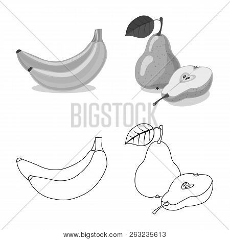 Vector Design Of Vegetable And Fruit Sign. Set Of Vegetable And Vegetarian Stock Vector Illustration