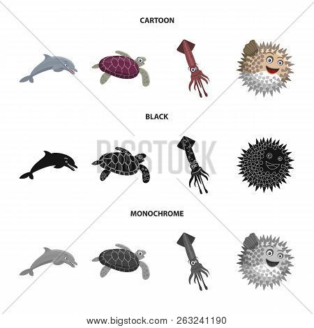 Vector Illustration Of Sea And Animal Symbol. Collection Of Sea And Marine Stock Symbol For Web.