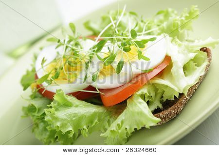 Sunde sandwich med salat, Havekarse, kogt æg, tomat og rødløg på rugbrød. Sha