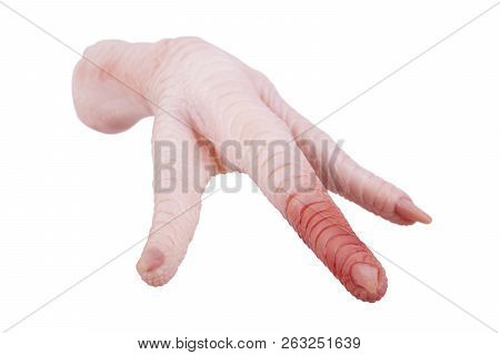 Chicken Foot With Blood On A White Background