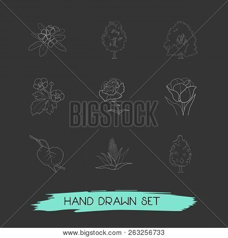 Set Of Plant Icons Line Style Symbols With Tulip, Ash, Beech And Other Icons For Your Web Mobile App