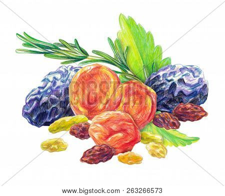 Assorted Dry Fruit Set With Mint Leaves And Rosemary Drawn With Color Pencil In Realistic Style. Iso