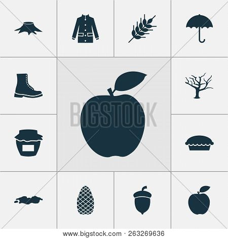 Seasonal Icons Set With Boot, Apple Pie, Oak Nut And Other Acorn Elements. Isolated  Illustration Se