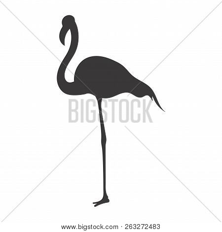 Flamingo Icon,black Flamingo Silhouette,wildlife Symbol ,flamingo Vector,eps 10 Isolated On White Ba