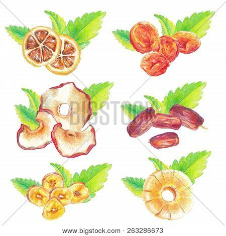 Dry Fruits And Mint Leaves Compositions Drawn With Color Pencil In Realistic Style. Isolated On Whit