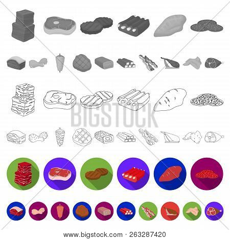 Different Meat Flat Icons In Set Collection For Design. Meat Product Vector Symbol Stock Web Illustr