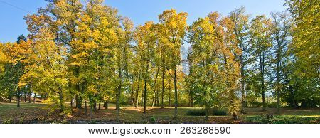Autumn Landscape. Park In Krasny Dvur. Czech Republic.