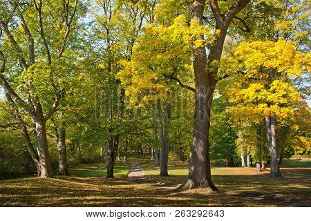 Autumn Landscape. Park In Krasny Dvur. Czech Republic.