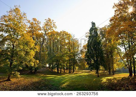 Autumn Landscape. Park In Krasny Dvur. Czech Republic.