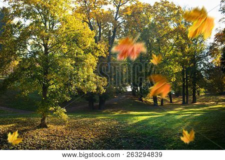 Autumn Landscape. Park In Krasny Dvur. Czech Republic.