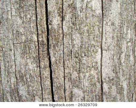 Old wood