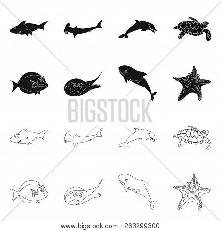 Vector Design Of Sea And Animal Sign. Collection Of Sea And Marine Vector Icon For Stock.