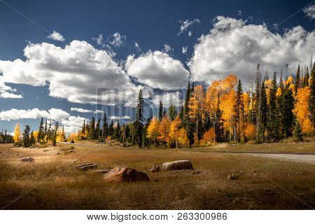 Stunning Autumn View Of The Highway  With Incredible Pine Trees And Fall Foliage To Brian Head And C