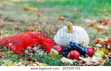 Pumpkin And Autumn Fruiis On A Grass With Fall Leaves