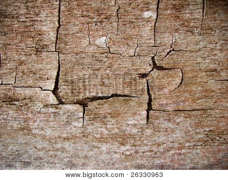 Old wood