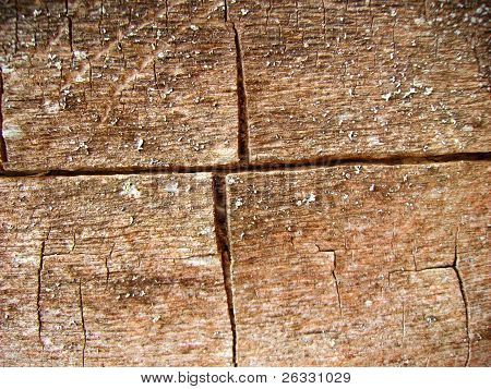 Old wood