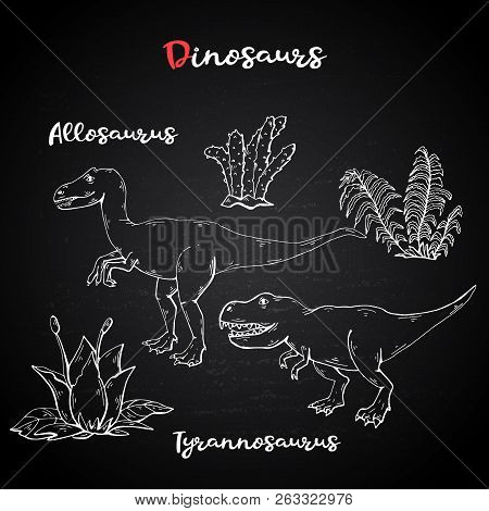 Vector Allosaurus And Tyrannosaurus With Plant And Stone On Chalk Blackboard.