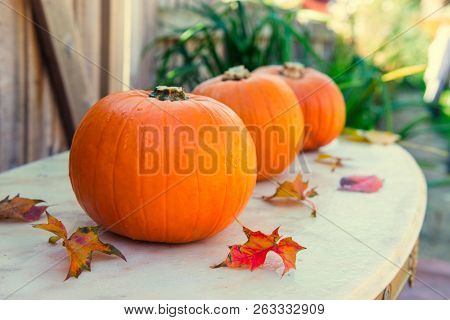 Three Pumpkins With Fall Leaves On Stone Table With Gaarden Seasonal Background. Autumn Harvest, Tha