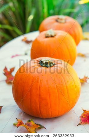 Three Pumpkins With Fall Leaves On Stone Table With Gaarden Seasonal Background. Autumn Harvest, Tha
