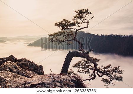 Fantastic Mountain Landscape, Mountains Are Covered With Trees, At The Bottom Of The Valley Filled W