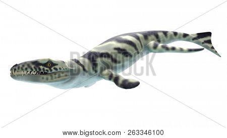 3d rendered illustration of a dakosaurus