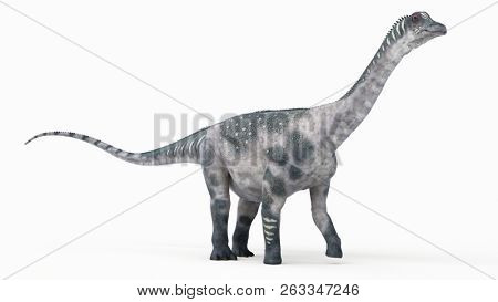 3d rendered illustration of a antarctosaurus