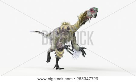 3d rendered illustration of a citipati