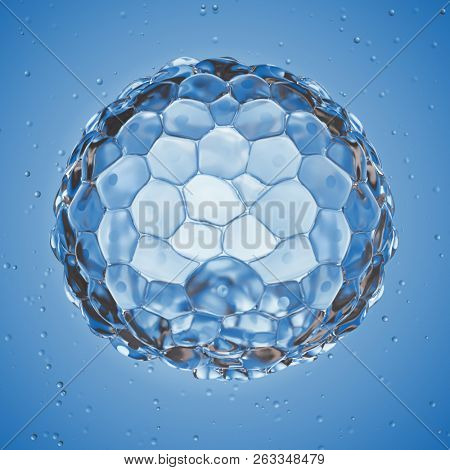 3d rendered medically accurate illustration of a blastocyst