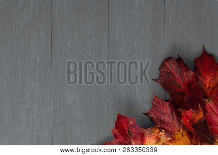 Red And Orange Autumn Leaves On A Blue Wooden Background, With Copy Space