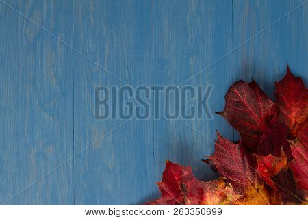 Red And Orange Autumn Leaves On A Blue Wooden Background, With Copy Space