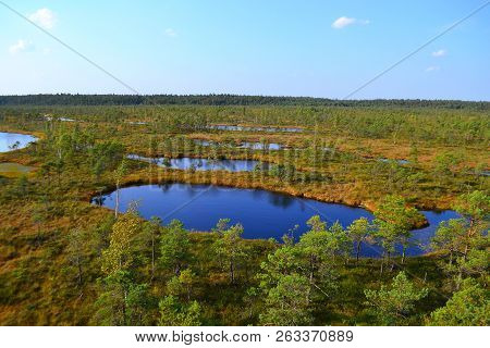 Big Swamp Wetlands Kemeri National Park, Latvia. Travel Concept.view Of Swamps In Latvia