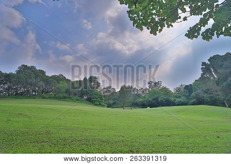 Green Golf Course Cart Path In Cloudy