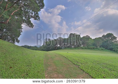 Green Golf Course Cart Path In Cloudy