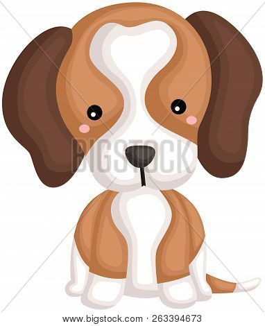 A Happy Cute Pure Beagle Dog Breed