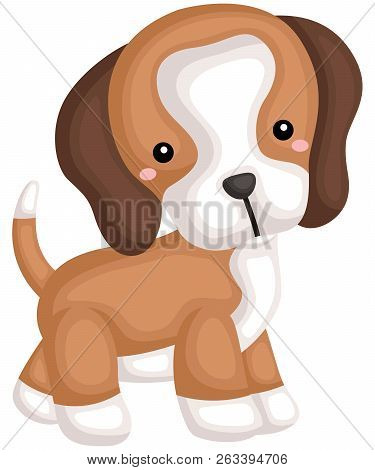 A Happy Cute Pure Beagle Dog Breed