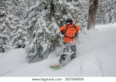 Man Riding Down The Hill On The Green Snowboard On The Powdered Snow On The Background Of Trees In T