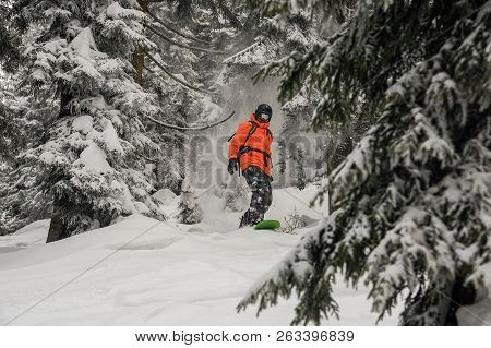Man Riding Down The Hill On The Green Snowboard On The Powdered Snow Between The Trees In The Mounta
